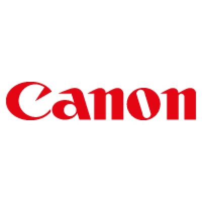 Printer geheugenuitbreiding - Canon MEMORY ER-256A F/ LBP 7 - 0646A042
